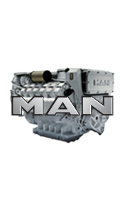 Picture for category man
