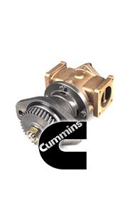 Picture for category cummins