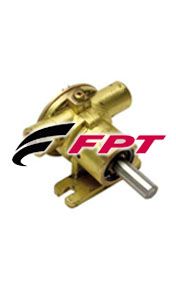 Picture for category fpt