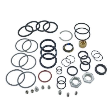 Immagine di 1005930 KIT TENUTE CILINDRI TIMONERIA ASD12-14